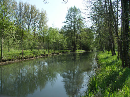 Paysages -Printemps -Eté