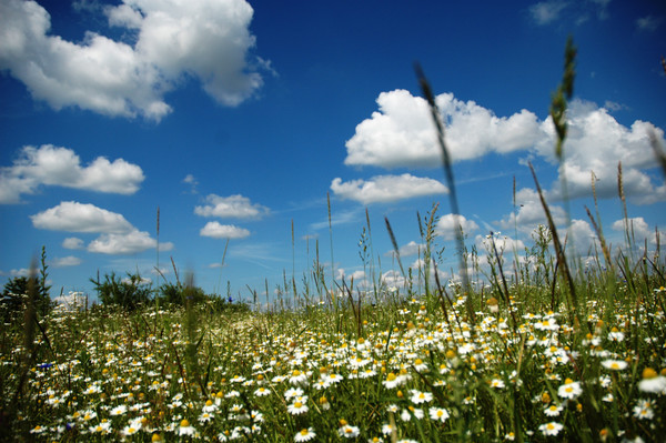 Paysages -Printemps -Eté