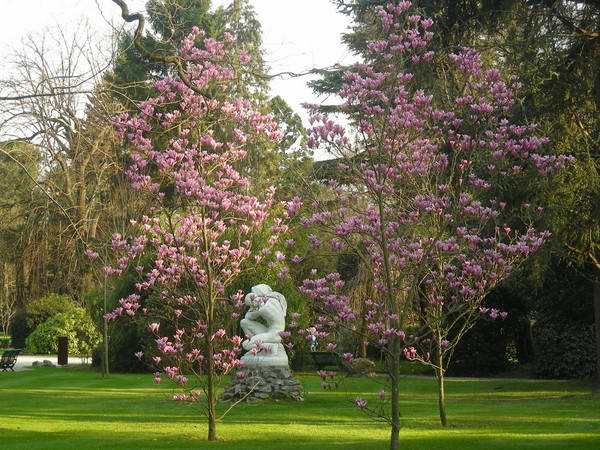 Paysages -Printemps -Eté