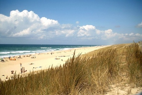 Plage de Basse Normandie (Manche)