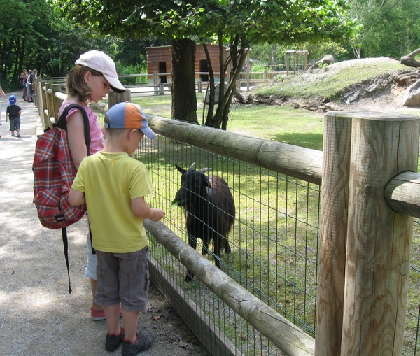 Zoo d'Amiens -2012