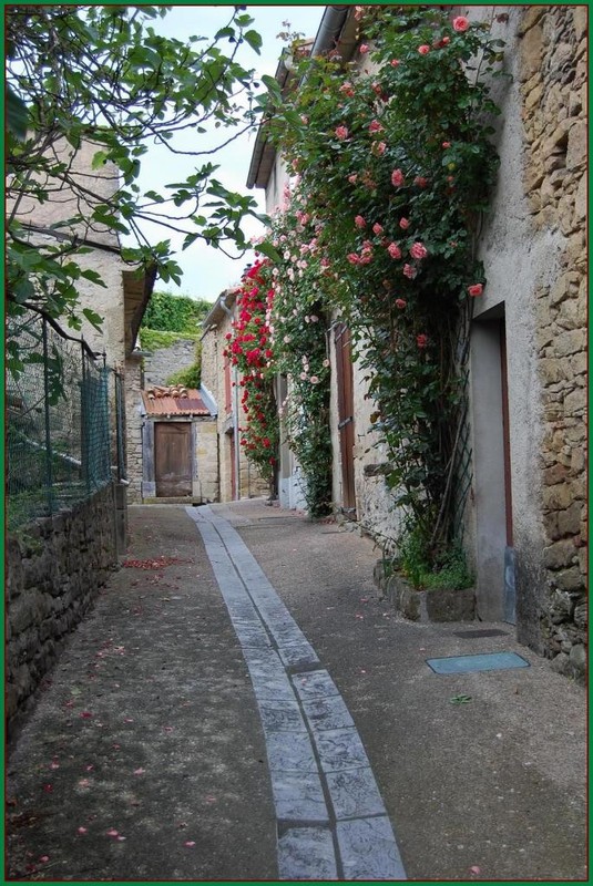 Beau village de Camon