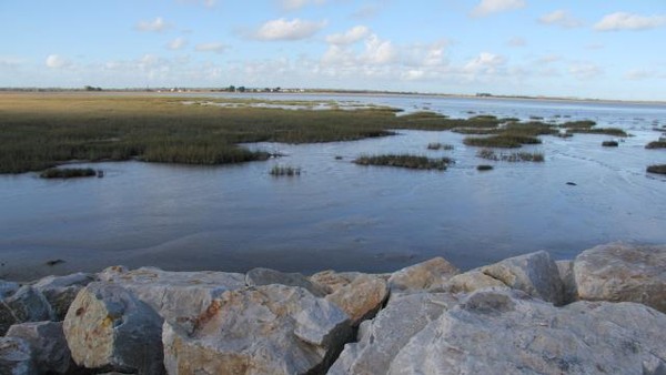 Plage de Basse Normandie (Manche)