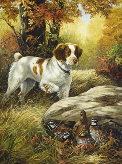  Animaux de Linda Picken (chien)