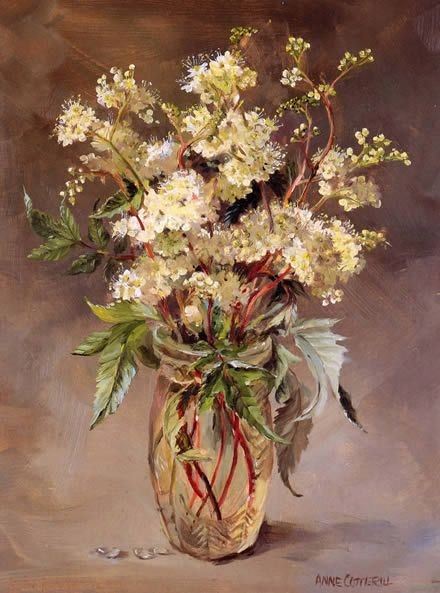 Fleurs de Anne Cotterill