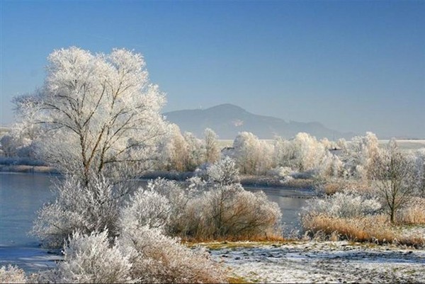 Paysage d'hiver