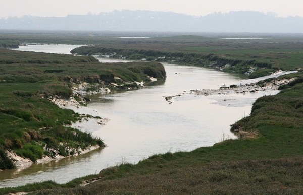 Plage de Picardie