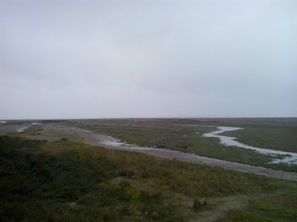 Plage de Picardie