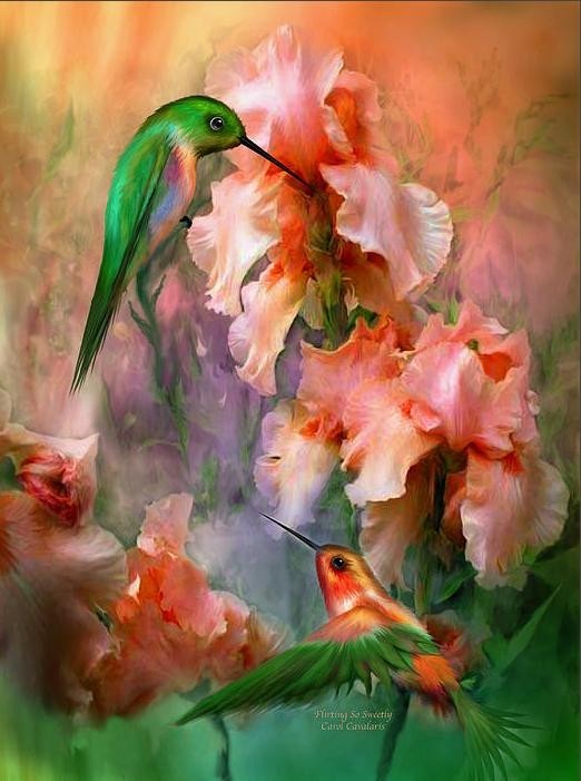 Fleurs de Carol Cavalaris