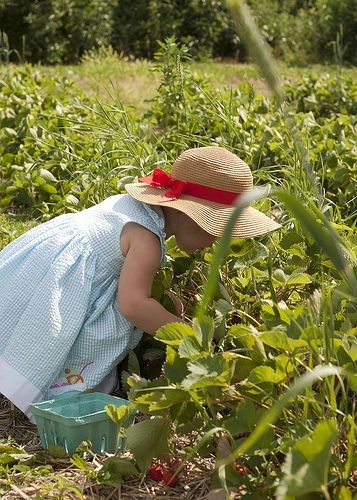 Le temps de l'innocence