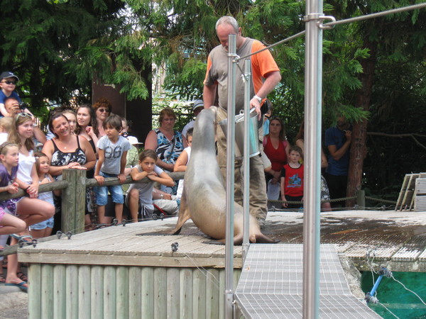 Zoo d' Amiens- 2012