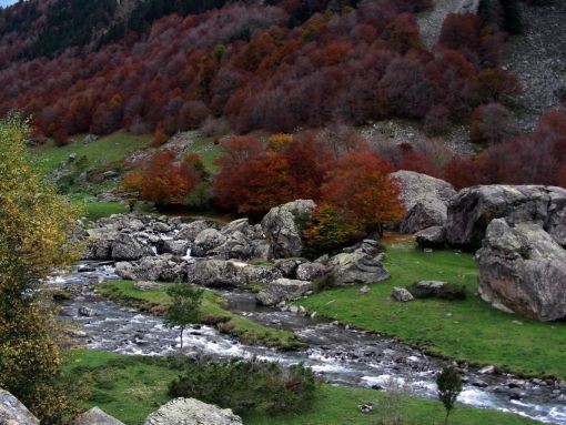 Paysage d'automne