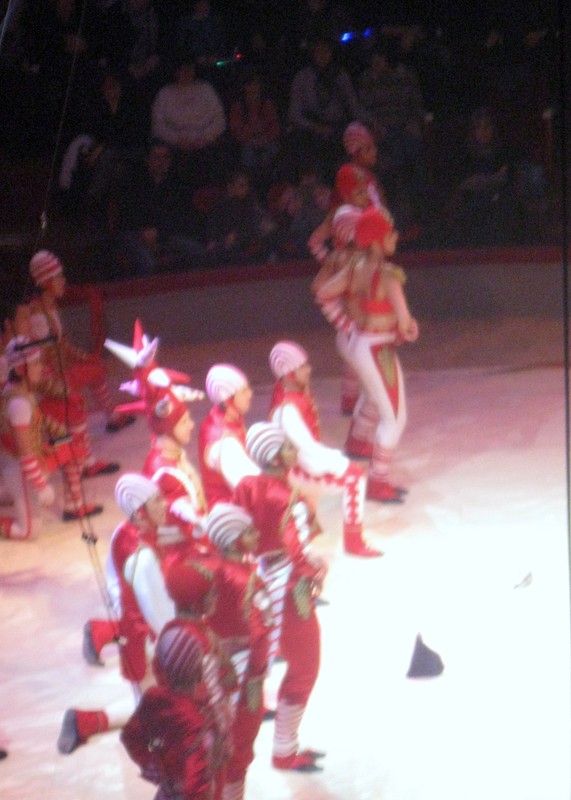 Amiens- Cirque Arlette Gruss