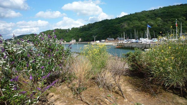 Plage de Basse Normandie (Calvados)