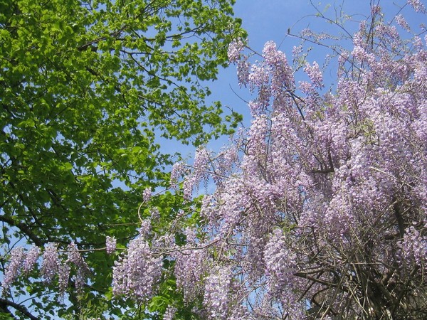 Paysages -Printemps -Eté