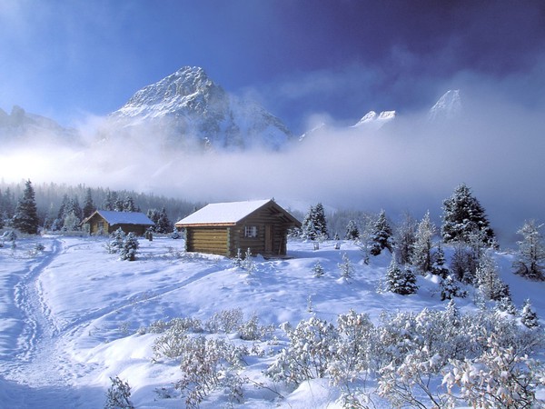 Paysages d'hiver