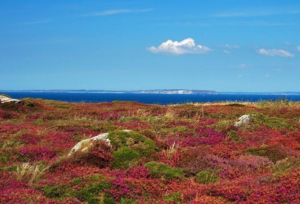 Paysages -Printemps -Eté