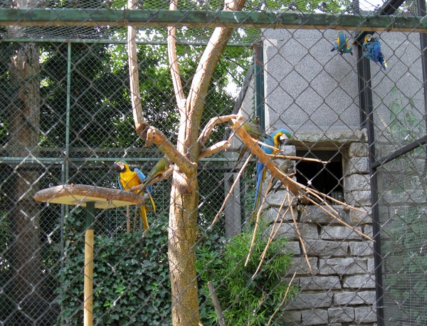 Zoo d'Amiens -2012