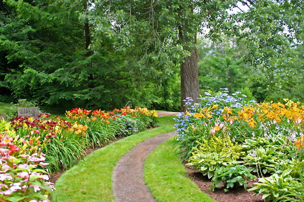  Jardin fleuri