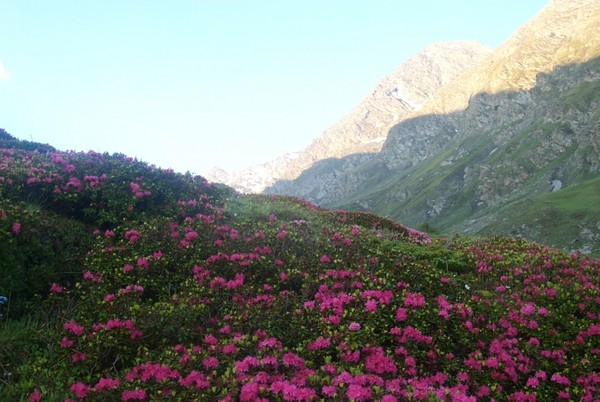 Paysages - Printemps-Eté