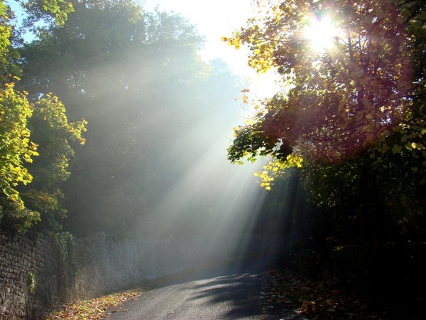 Paysage d'automne