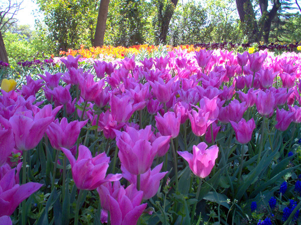 Paysages -Printemps -Eté