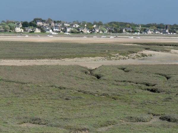 Plage de Basse Normandie (Manche)