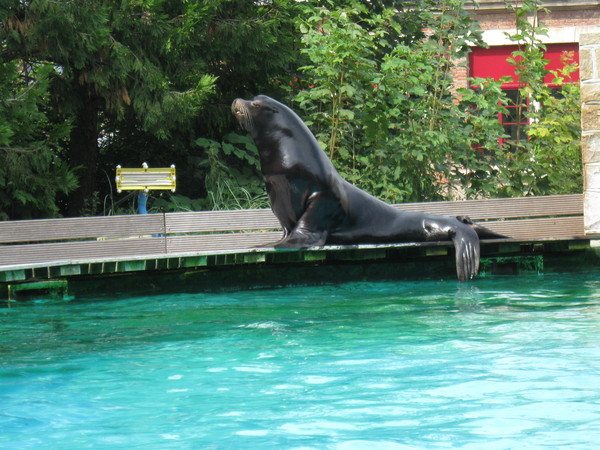 Zoo d'Amiens -2012