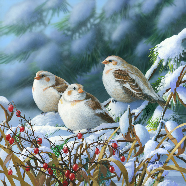 Superbe peinture d'oiseaux de Bradley Jackson