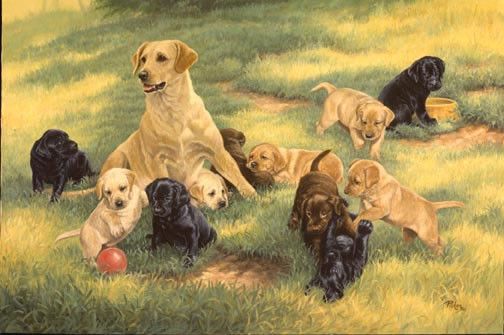  Animaux de Linda Picken (chiens)