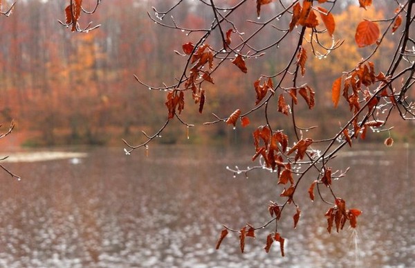 Paysage d'automne