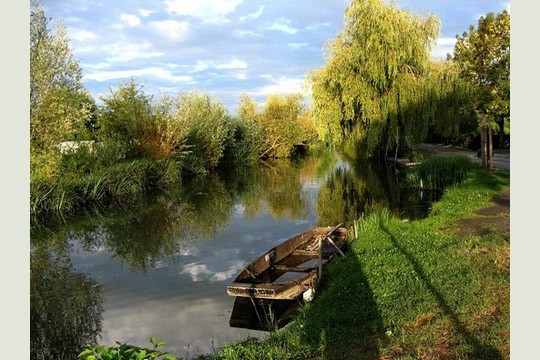 Paysage d'automne