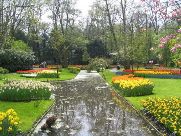 Parc  fleuri