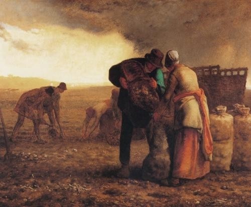 Peintre célèbre - Jean Francois Millet