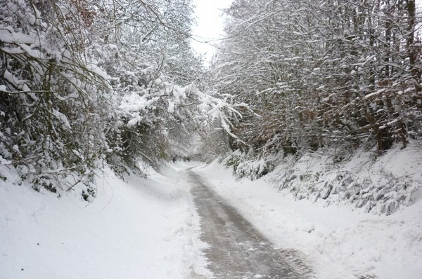 Paysages d'hiver