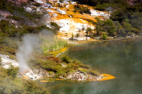 Les merveilles du monde naturel