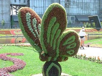 Sculpture  florale -Topiaire 