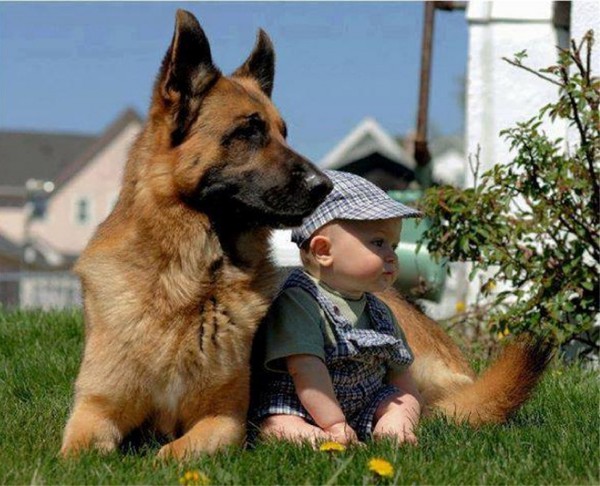 Enfant et leur animal
