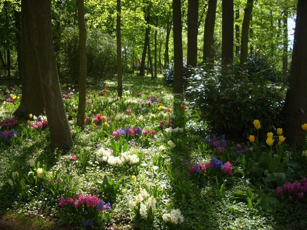 Parc  fleuri