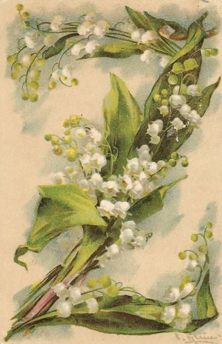 Le temps du Muguet