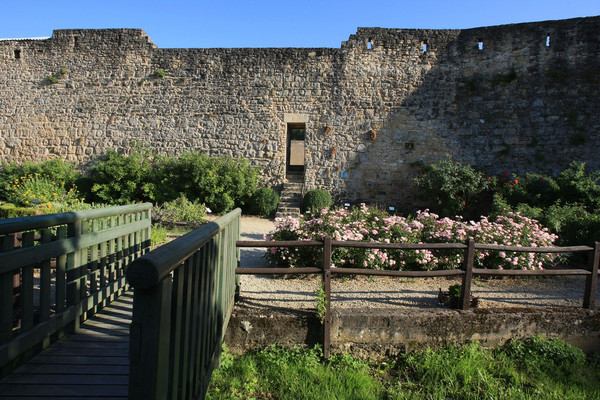 Beau village de Rodemack