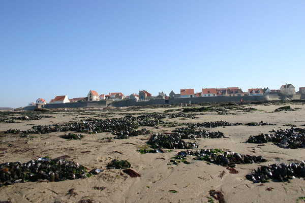 Plage du Nord -Pas de Calais