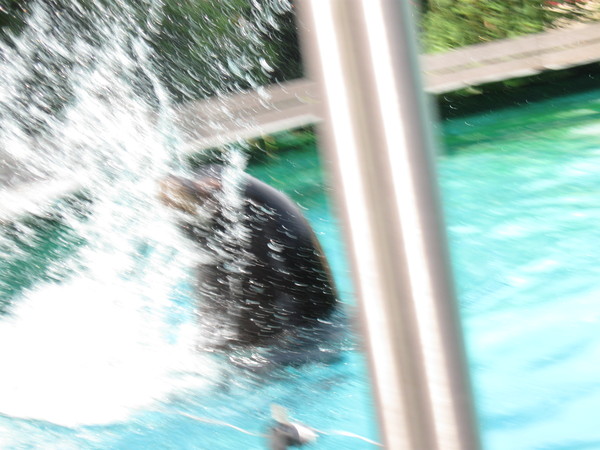 Zoo d'Amiens -2012