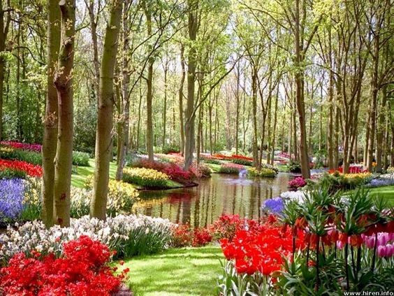 Parc et jardin fleuris