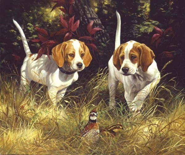  Animaux de Linda Picken (chiens)