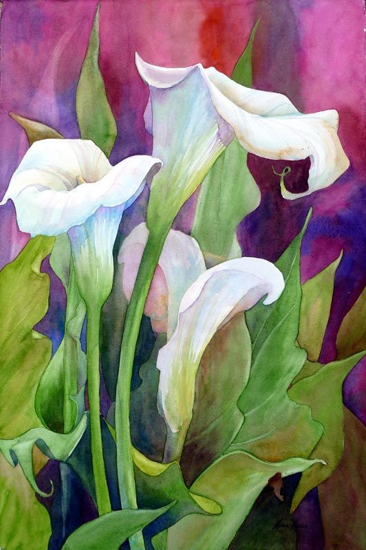  Fleurs de Georgia O'Keeffe