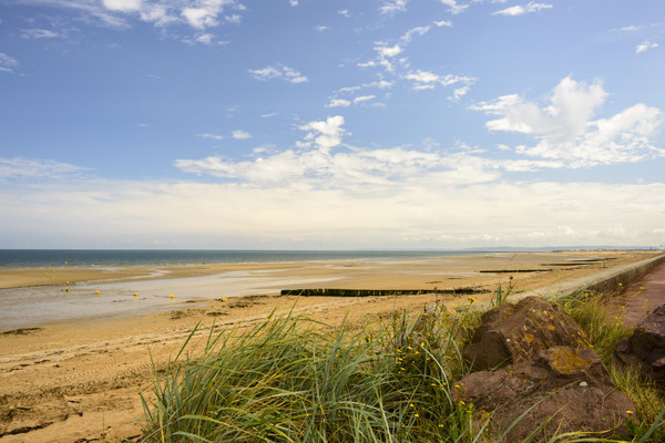 Plage de Basse Normandie (Manche)