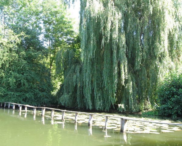 Amiens -Les hortillonnages