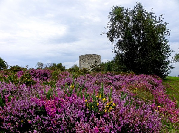 Paysages -Printemps -Eté