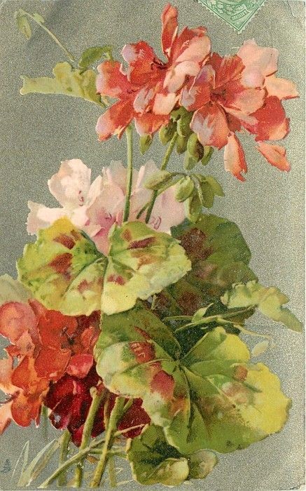 Fleurs de Catherine Klein